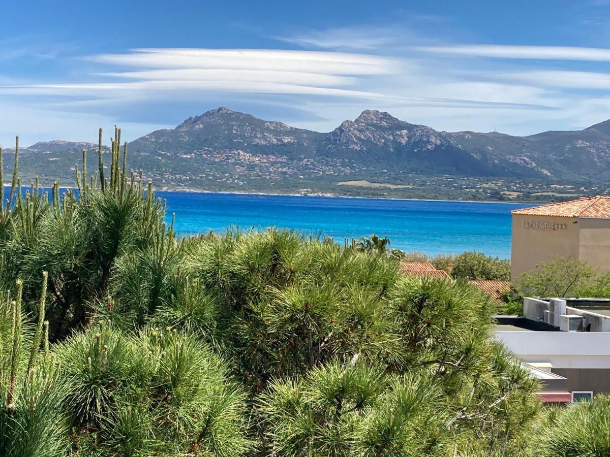 Corse Calvi Appt Cote Mer Esterno foto