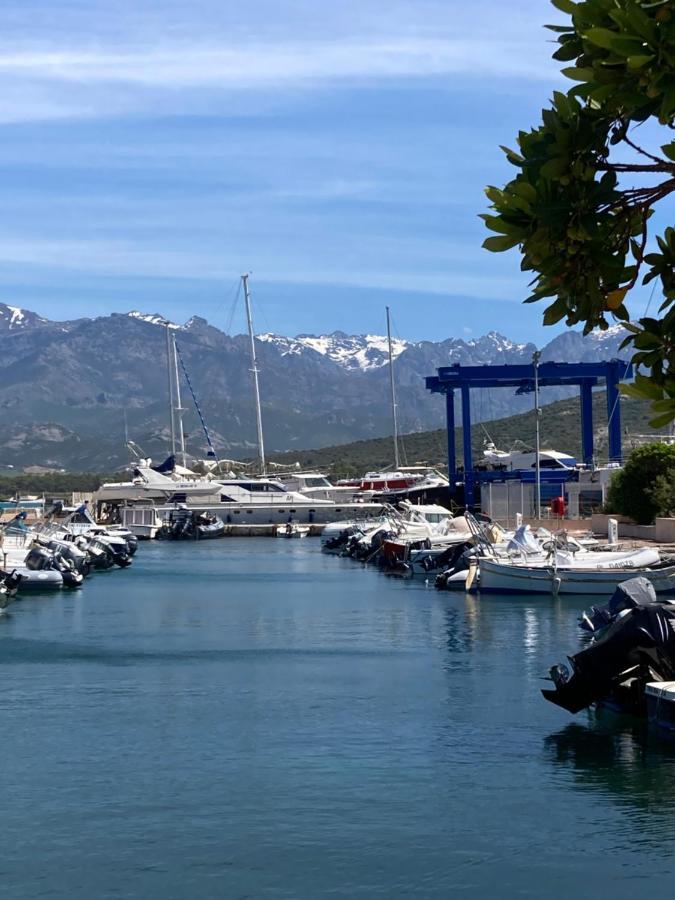 Corse Calvi Appt Cote Mer Esterno foto